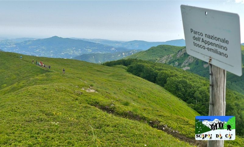 escursione toscana